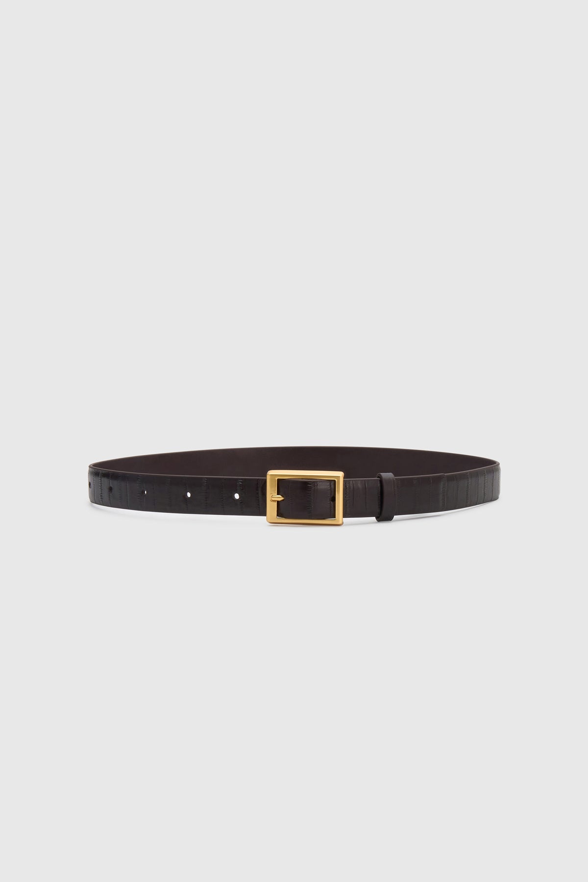 Sonny Eel Belt